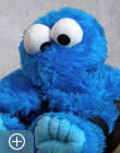 Teambild Piet van der Krume
